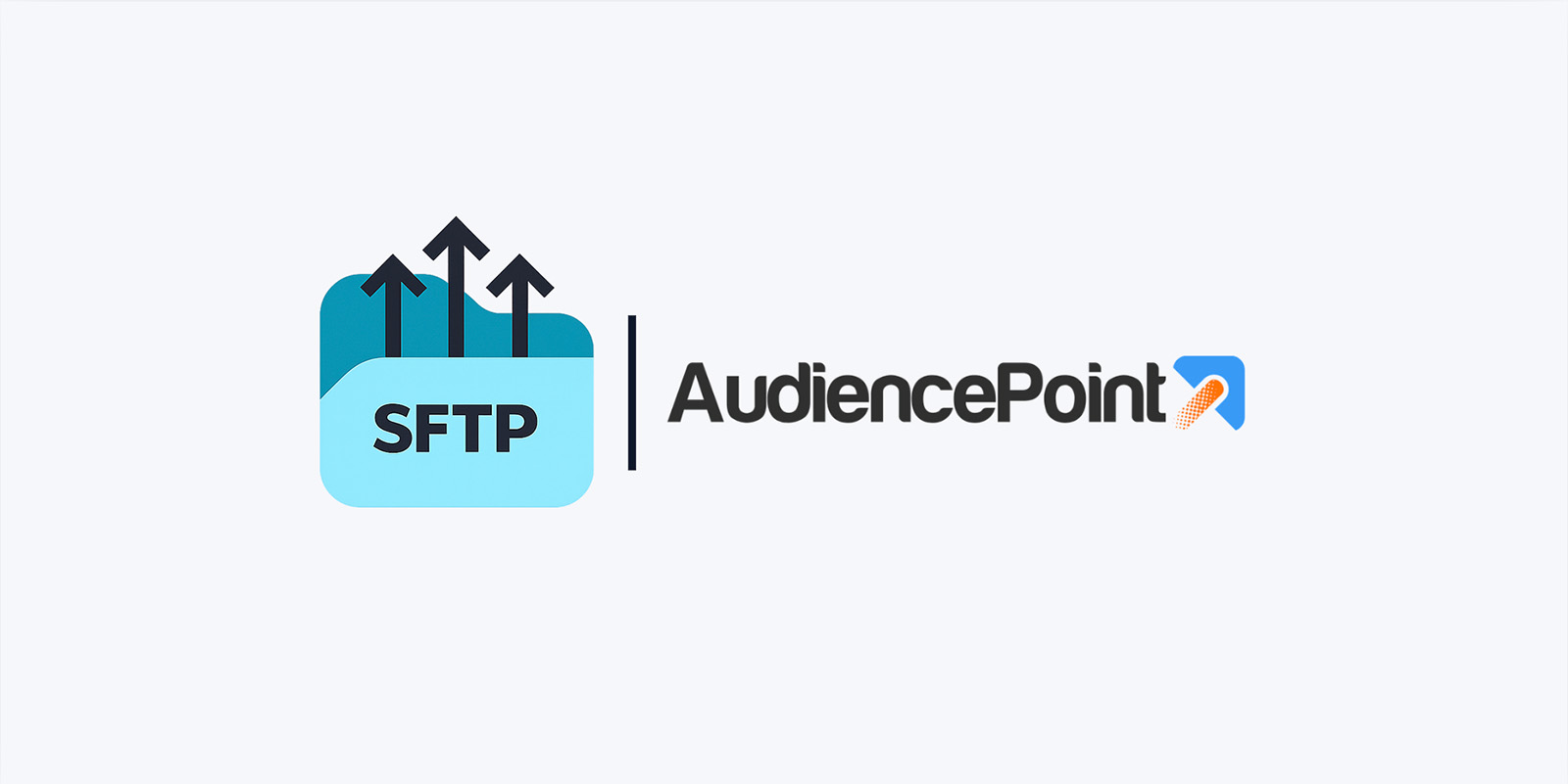 Connect AudiencePoint To Your Own SFTP (Public Key)